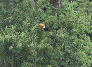 Big-Day-Parque-do-Pombo-1-920x812-1.jpeg