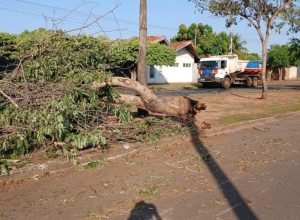 Defesa-Civil-e-equipes-da-Prefeitura-atuam-desde-ontem-apos-tempestade-que-atingiu-Tres-Lagoas-9-920x518-1.jpeg