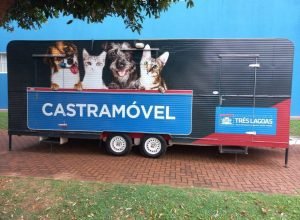 castramovel.jpeg