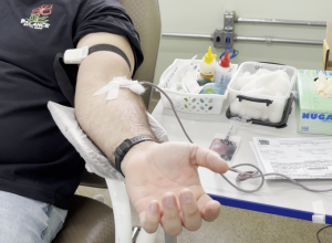 doacao-de-sangue-1-scaled-1.png
